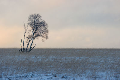 Scenic view of snowy high fens against dramatic sky during sunset in ardennes belgium