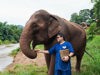 Close-up of elephant