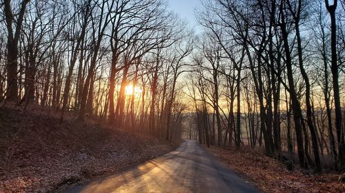 Road amidst trees against sky during sunset