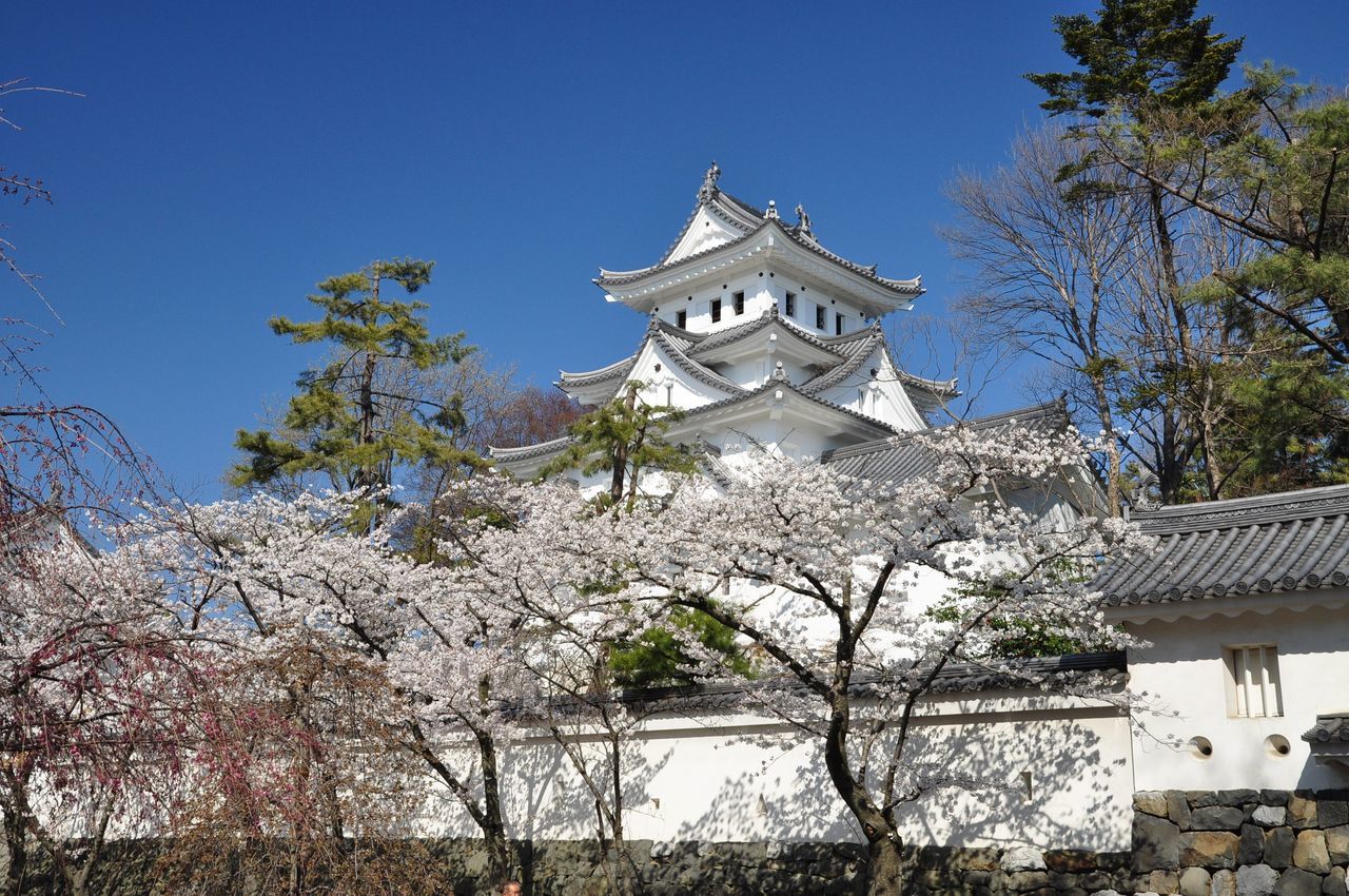 Ogaki Park