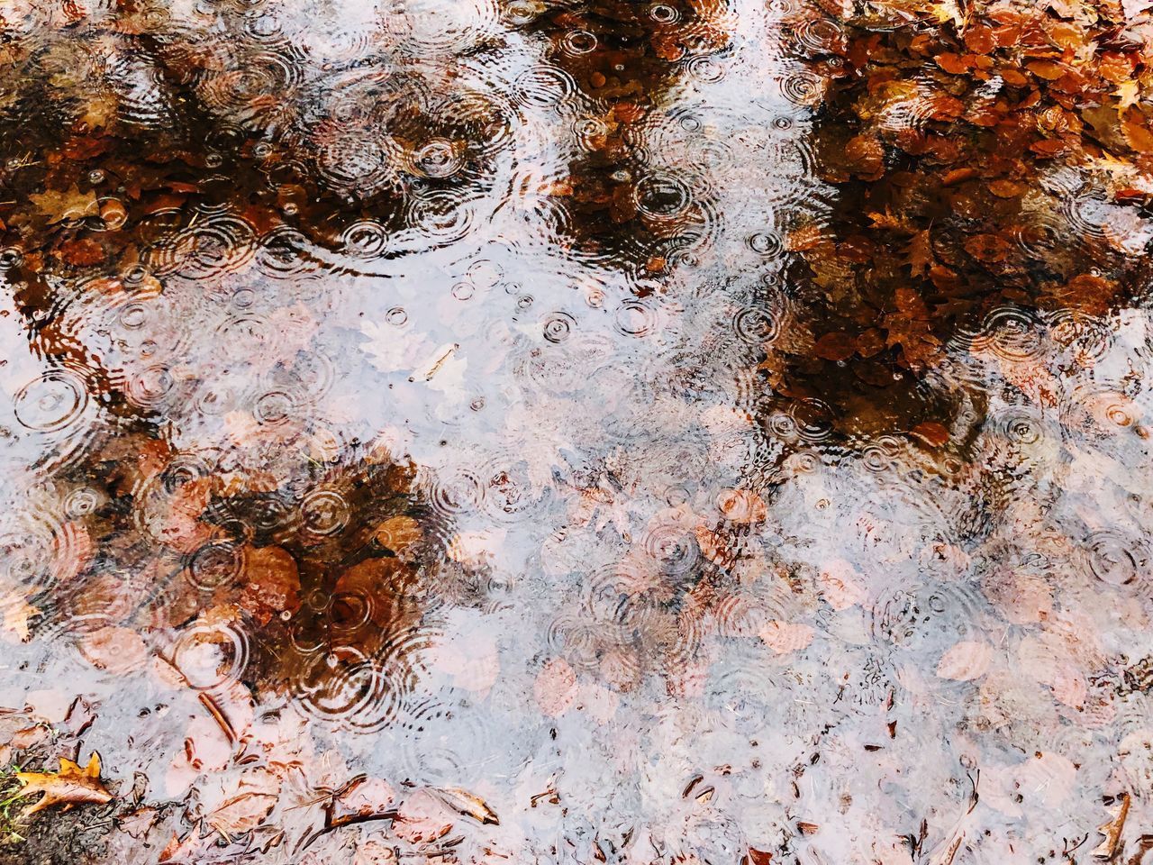 HIGH ANGLE VIEW OF REFLECTION IN WATER