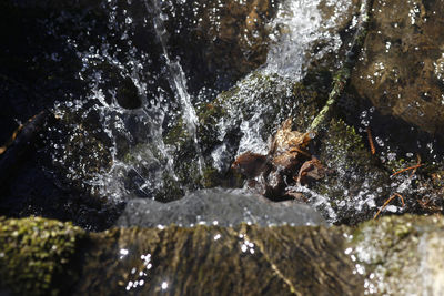 Close-up of water splashing on rocks