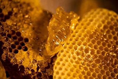 Full frame shot of honeycomb