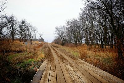 Road passing through forest