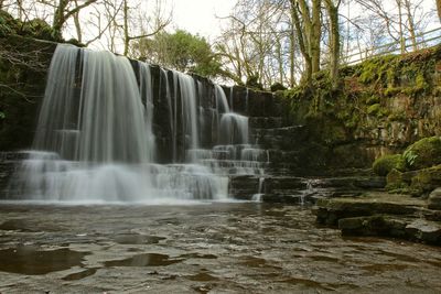 Low angle view of waterfall in forest