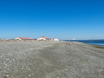 People on beach against clear blue sky