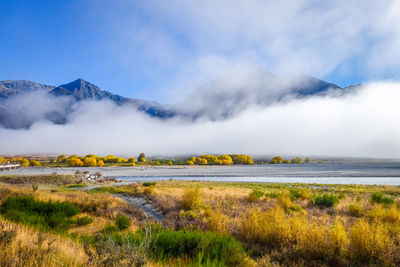 Scenic view of landscape against sky