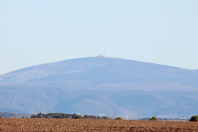 Scenic view of agricultural field against clear sky