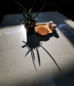 High angle view of potted plant on table at home