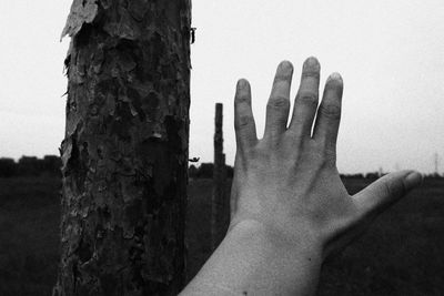 Close-up of hand on tree trunk against sky