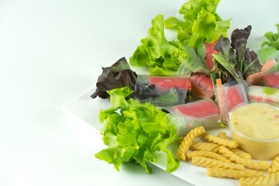 Close-up of food on plate against white background