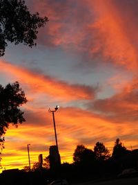 Low angle view of silhouette trees against orange sky