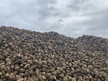 Low angle view of rocks against sky