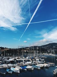 Sailboats moored in harbor