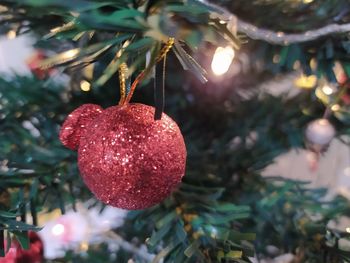 Close-up of christmas tree