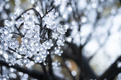 Close-up of artificial white flowers