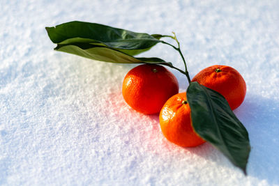 Tangerines in the snow