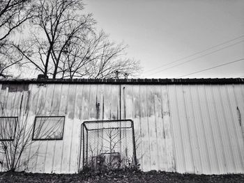 Bare trees against sky
