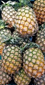 Close-up of fruits for sale in market