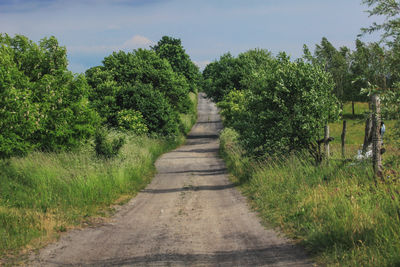 Footpath amidst trees against sky