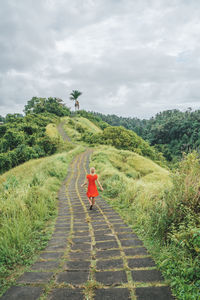 Rear view of person on road amidst plants against sky