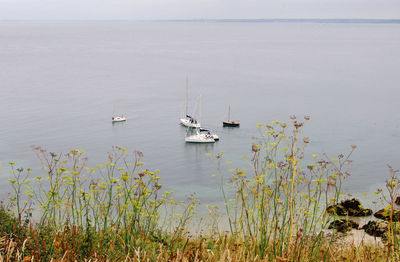 Boats moored on sea against sky