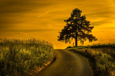 Scenic view of field against sky during sunset