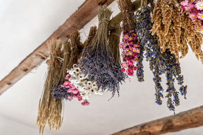 Natural and colorful dried flower bouquets with bunches of grains hung upside down from barn ceiling