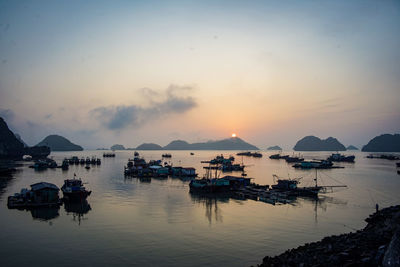 Boats in marina at sunset