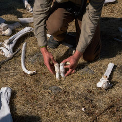 Low section of kneeling park ranger teaching 