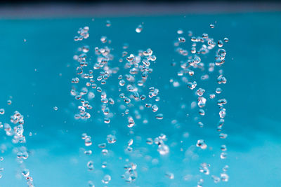 Close-up of water drops on plant