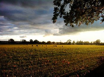 Scenic view of field against cloudy sky