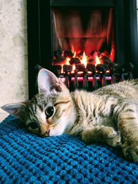 Close-up of cat resting by fireplace at home