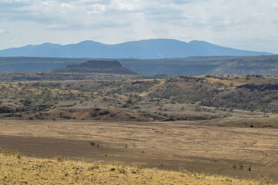 Scenic view of landscape against sky