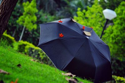 Umbrella on field against trees