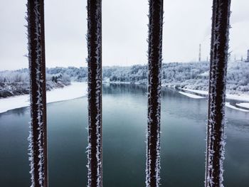 Close-up of frozen trees against sky