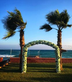 Palm tree by sea against sky