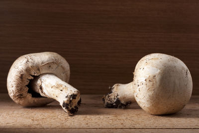 Close-up of mushrooms on table