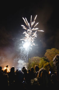 Firework display at night