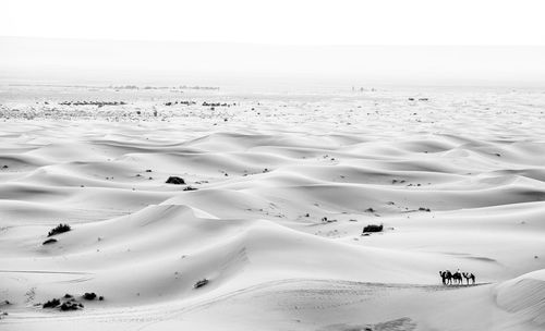 Scenic view of desert against sky