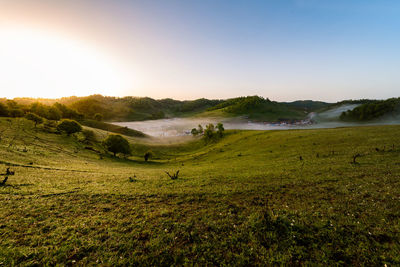 Scenic view of landscape against sky