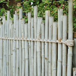 Close-up of fence