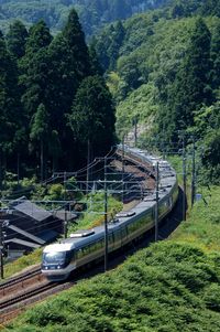 High angle view of railroad track amidst trees in forest