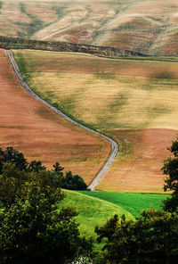 Directly above shot of landscape