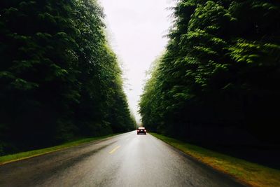 Road amidst trees against sky