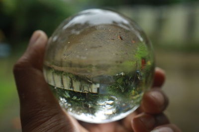 Cropped hand holding crystal ball