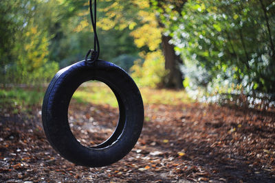 Close-up of swing in park