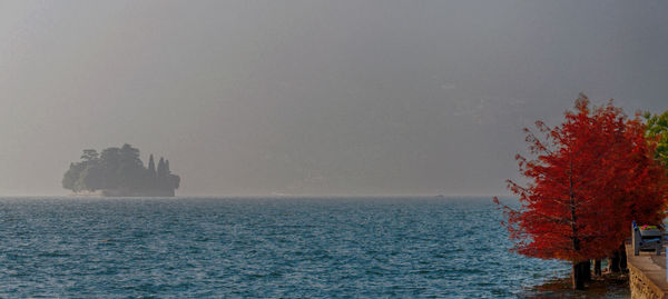 Scenic view of tree against sky during winter