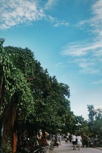 People by trees against sky