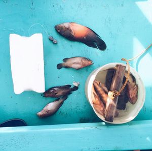 Overhead view of fish